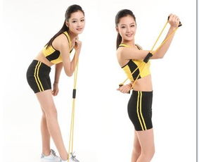 易威斯堡塑胸拉力器 價(jià)格、廠家與選購(gòu)指南